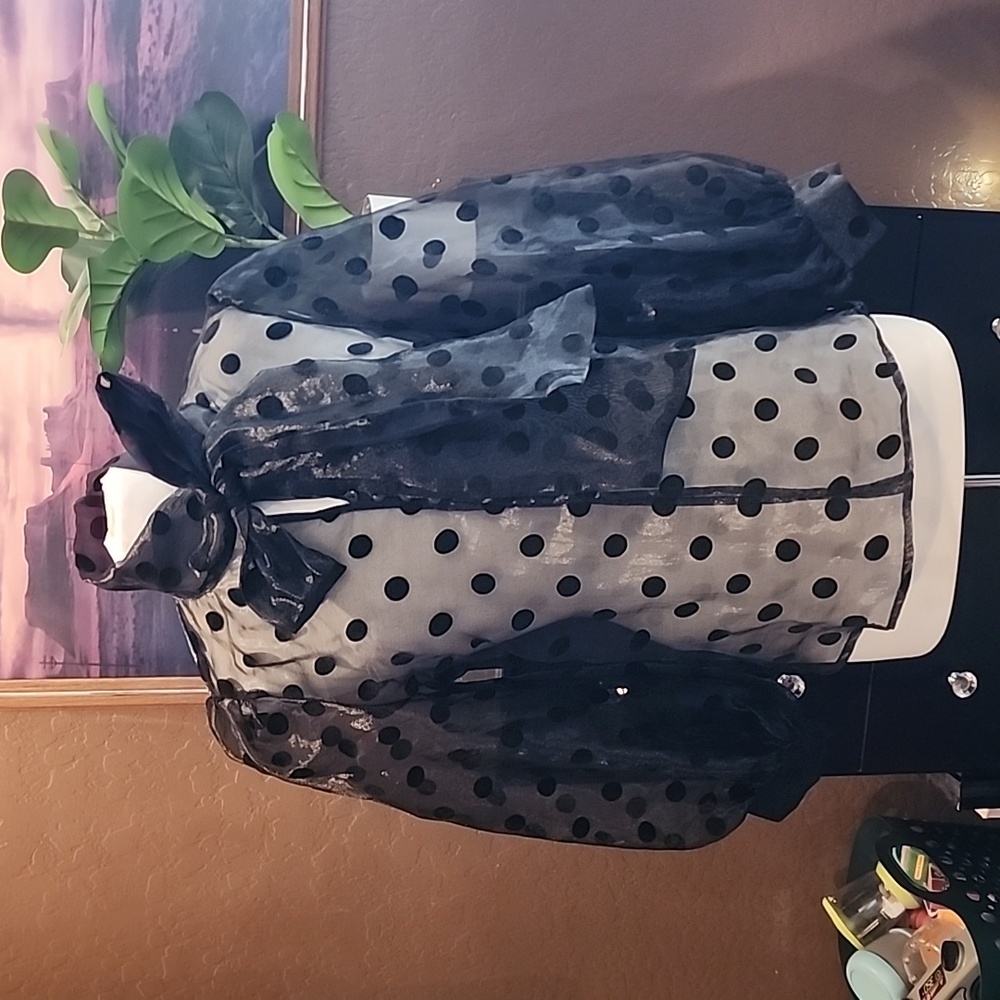 Love X Design Polkadot button up blouse. - Picture 1 of 6